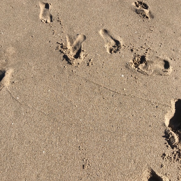 Meet your Posher, Christine - Picture 1 of 1